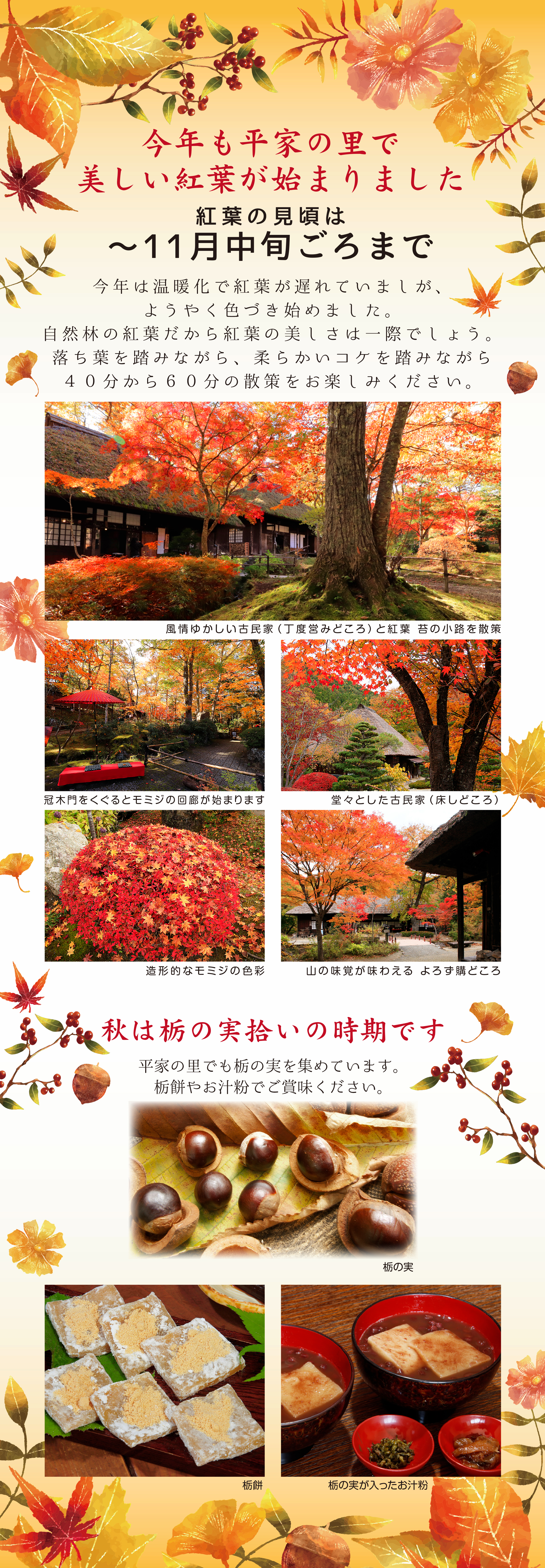 湯西川温泉の紅葉